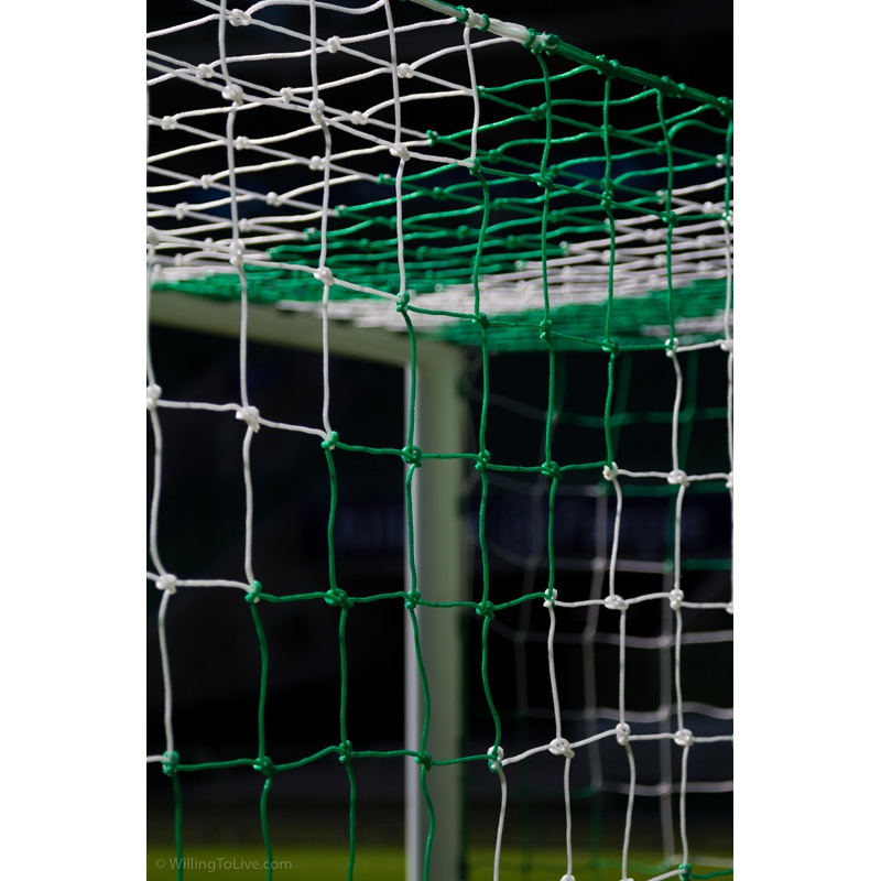 Goal! | 168mm equiv.; f4; 1/1000; ISO 100