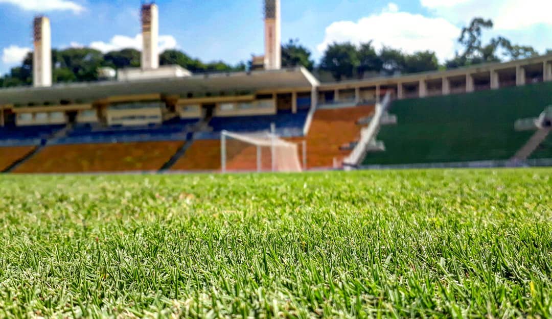 Daí eu virei para o lado direito e não aguentei a emoção. Após tocar a grama, por alguns segundos, fechei meus olhos e me imaginei caminhando pro gol enquanto a torcida gritava meu nome. Sonhei grande quando era pequeno. E quando grande realizei o pequeno sonho. Caminhar pelo túnel onde caminharam os meus ídolos do futebol desse país, daquele futebol raiz. Não fui pro gol jogar, mas fiz metade do caminho com os pés e a outra metade com o olhar.