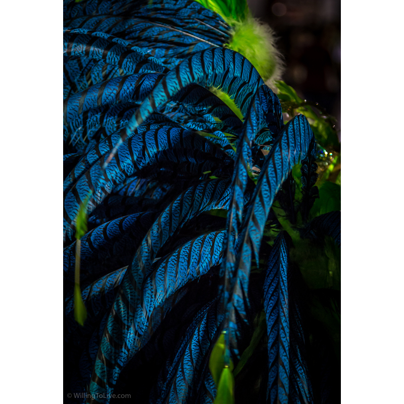 Costume details | ISO 1600; 168mm equiv.; f/4; 1/50s