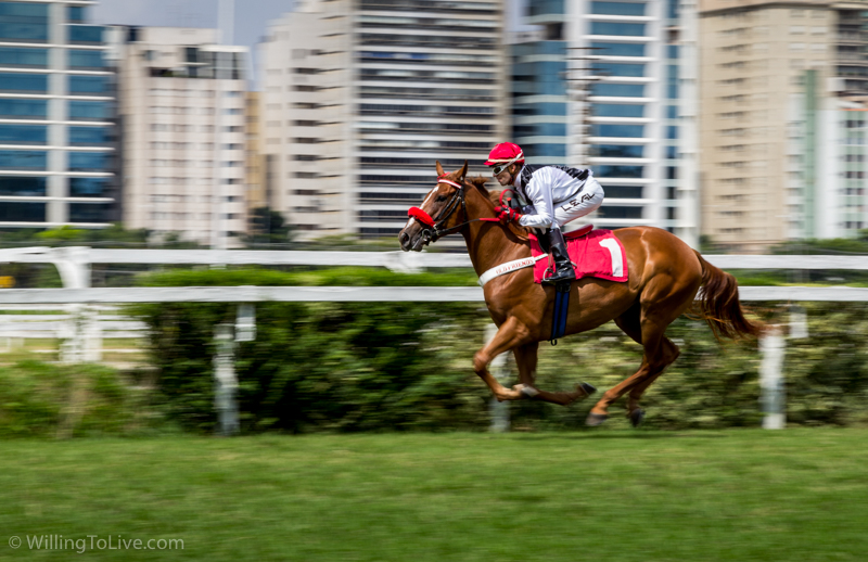 Running... | ISO 100; 147mm equiv.; f/13; 1/100s