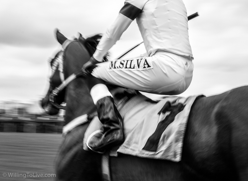 The jockey and his horse | ISO 100; 51mm equiv.; f/16; 1/60s