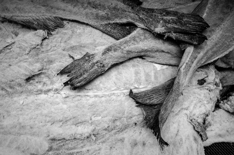 Fish and its texture, shape, and arrangement... | ISO 100; 29mm equiv.; f/5,6; 1/40s