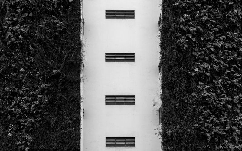 Contrast. Black and white. Nature and building. | 38mm equiv.; f8; 1/160; ISO 100