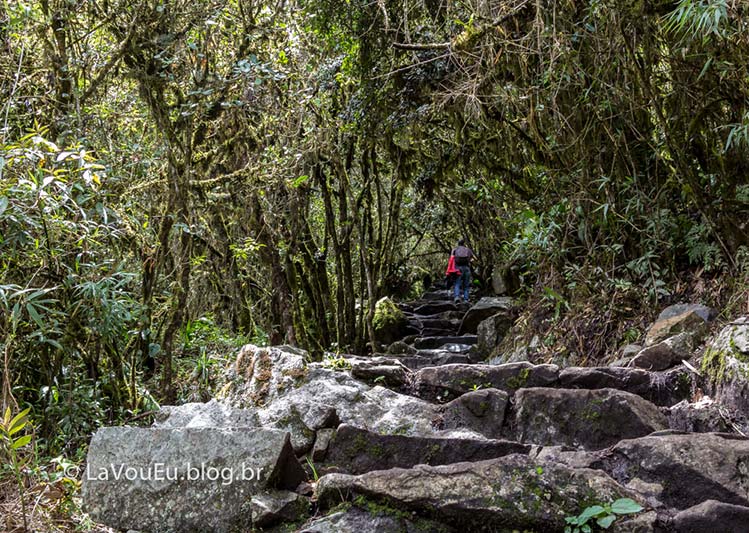 Lá vamos nós pelo caminho! E com muitos degraus... Mas em um cenário até familiar pela vegetação local e quantidade de brasileiros subindo. Acostume-se, pois o degrau será seu maior companheiro durante toda a subida.