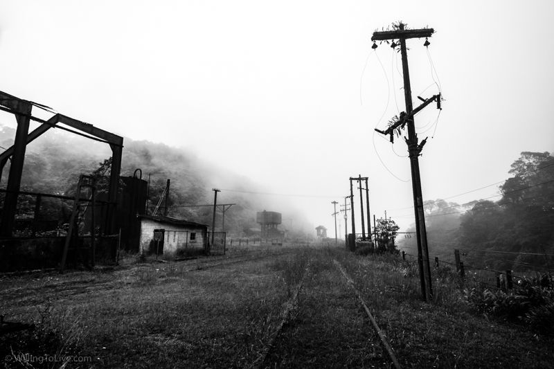 Neblina e mistério... | 19mm equiv.; f5,6; 1/160; ISO 100