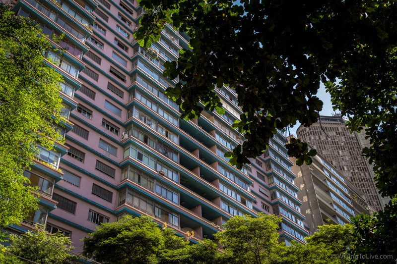 Nature framing São Paulo. That is weird! hahaha But it exists! | 38mm equiv.; f4; 1/250; ISO 100