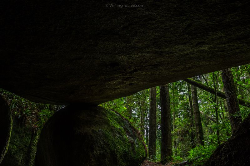 Inside the cave and surrounded by trees | ISO 100; 29mm equiv.; f/11; composition of different shutter speeds