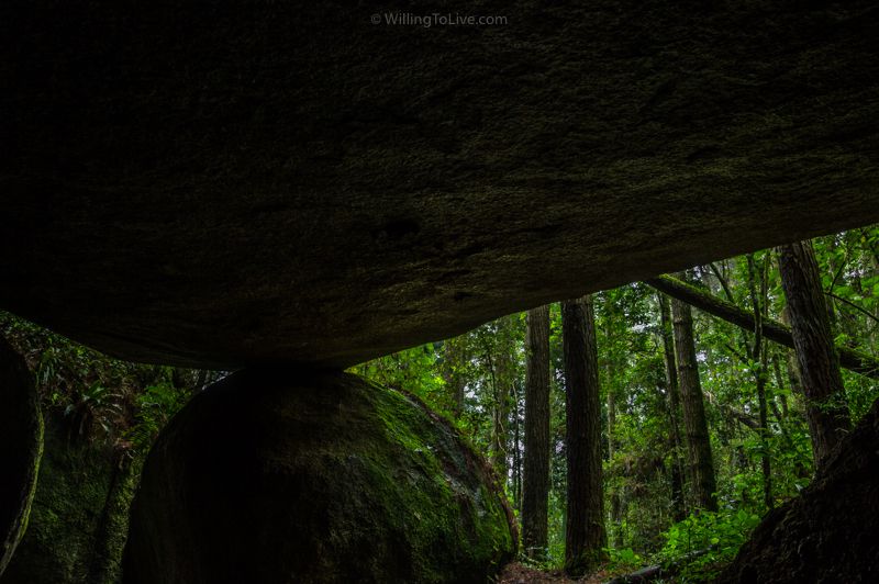 De dentro da caverna e cercado pelas árvores | ISO 100; 29mm equiv.; f/11; composição com vários tempos de exposição diferentes